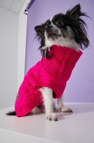 Medicine - Sweter dla psa Commercial 59.90PLN