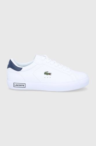 Lacoste Buty Powercourt 269.99PLN