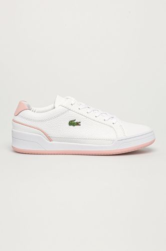 Lacoste - Buty Challenge 239.99PLN