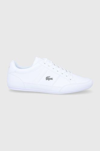 Lacoste Buty Chaymon 349.99PLN